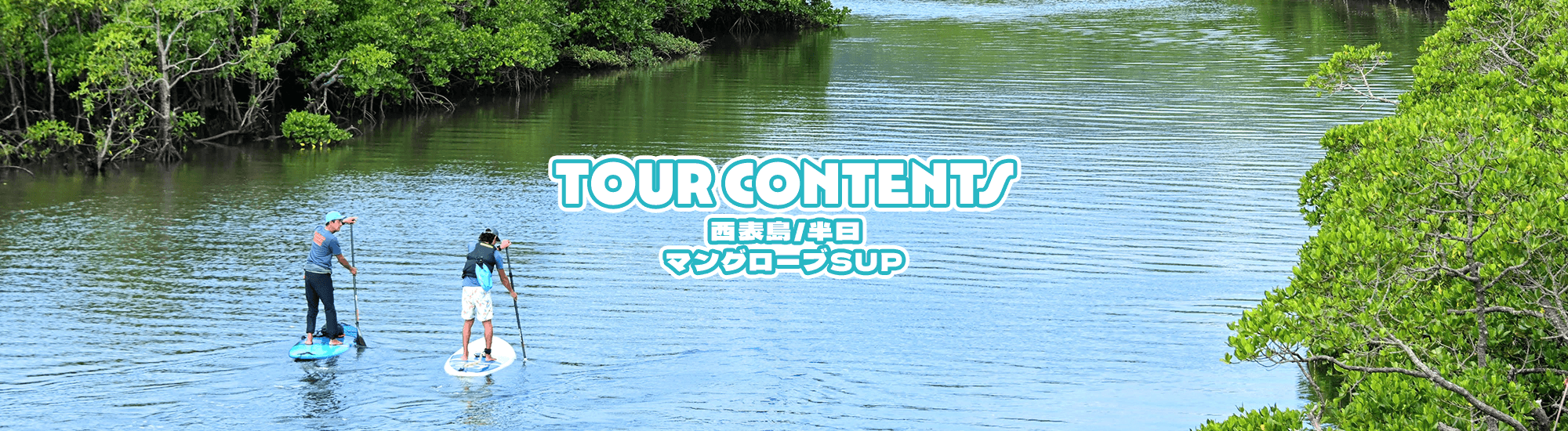 [西表島/半日]マングローブSUP