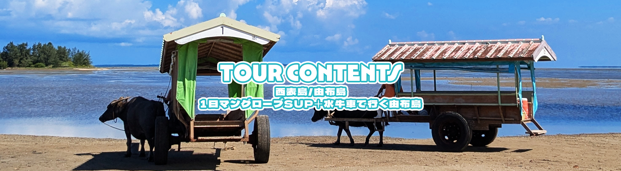 [西表島/由布島]1日マングローブSUP＋水牛車で行く由布島