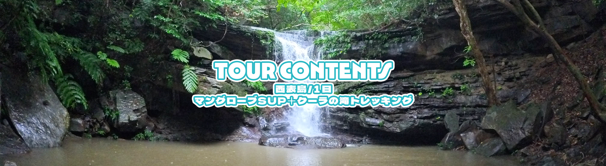 [西表島/1日]マングローブSUP＋クーラの滝トレッキング